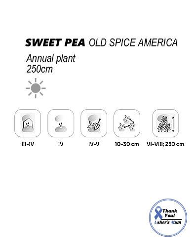(S) Sweet Pea Old Spice America seeds 1g (approx. 10 seeds) (414826)