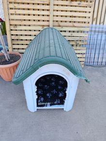dog house