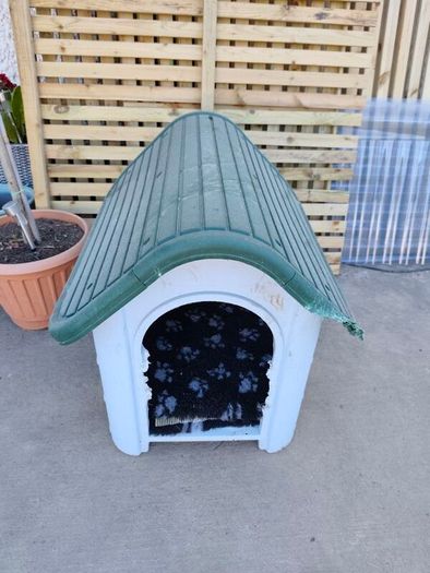 dog house