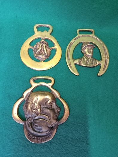 Vintage Brass Horse Bridle Badges  X 11