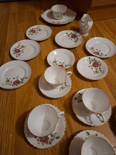 19 Piece Royal Tara Fine Bone China