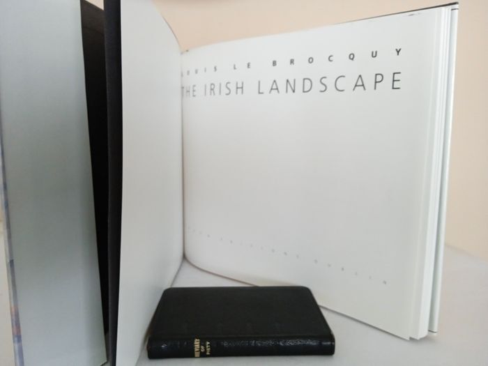 The Irish Landscape by Louis Le Brocquy (PT955)