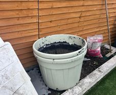 Large plant pots good for small trees