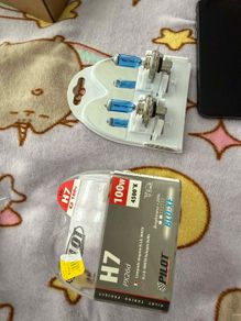 H7 bulbs