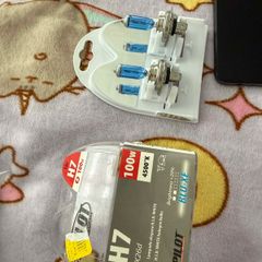H7 bulbs