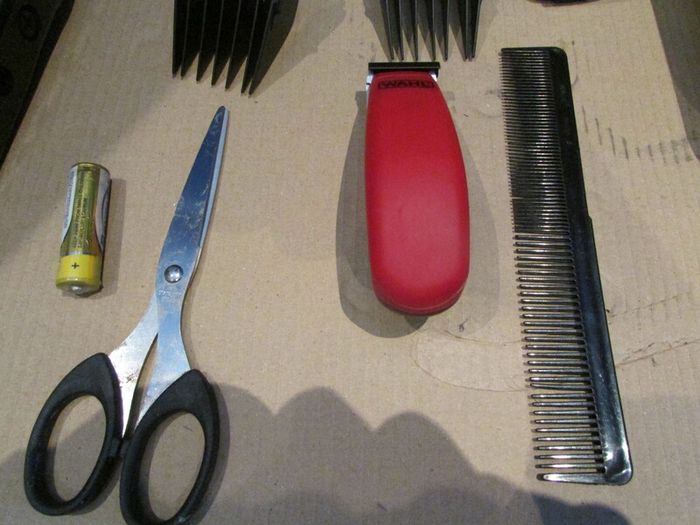 Wahl Clipper