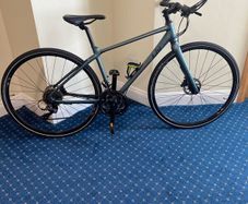 Ladies Giant Liv bike