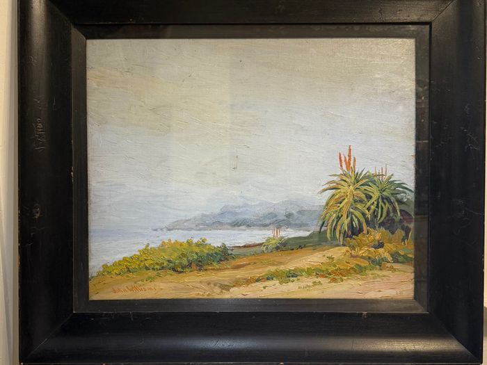 John Williams signed original oil painting - Coastal landscape with Aloes