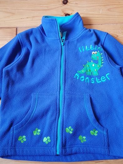 Age 5-6 Dinosaur Fleece Hoodie