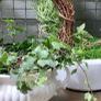 ShabbyChic Old Vintage Display Piece.. Image 7