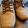 Timberland Image 3