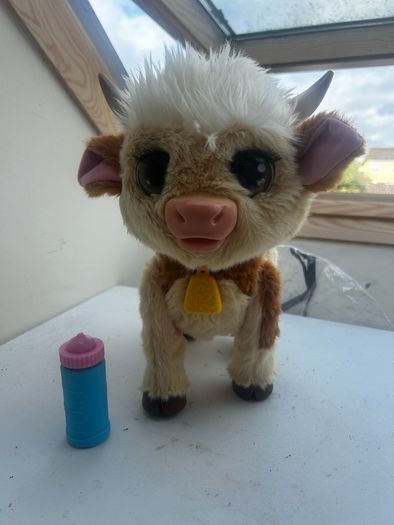 Maggie Cow pet