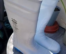 New Portwest Safety Wellingtons