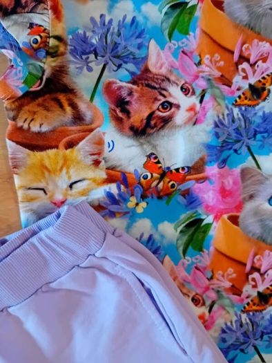 Cute Shorts & Tshirt