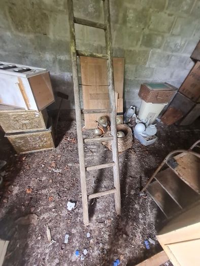 Antique Ladder