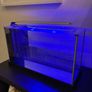 Fluval Spec 19L Image 6