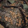 German ww2 kit Image 6