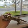 Vintage Brass Tiger Figurine heavy solid brass animal statue Image 4