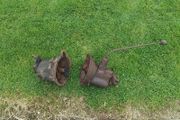 2.Ford Anglia Gearboxes.