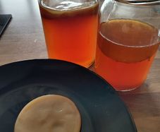 Kombucha SCOBY