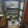 Mini Greenhouse for Indoor Outdoor Small Plant Greenhouses 4 Tier Rack Stands, Portable Heavy Duty Garden Green House Image 2