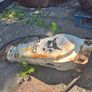 Digger Image 3