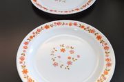 Vintage Arcopal France Orange Floral 27cm Dinner Plates Pair