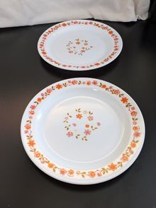 Vintage Arcopal France Orange Floral 27cm Dinner Plates Pair
