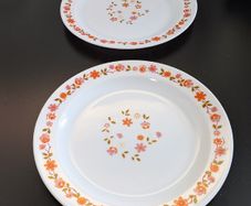 Vintage Arcopal France Orange Floral 27cm Dinner Plates Pair