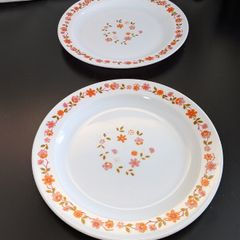 Vintage Arcopal France Orange Floral 27cm Dinner Plates Pair