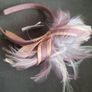 Fascinator/Two Tone Feathers .. Price Drop Image 3