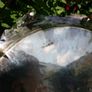 Vintage Silver and Gold Plate Serving Tray EPNS. 12" diameter Image 7