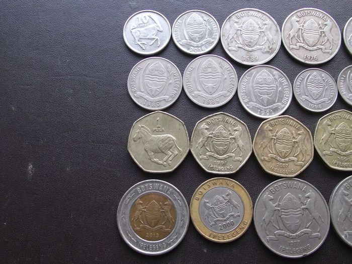 A Lot of 130 grams coins from Botswana (1976-2013)