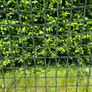 Precision Training Pro Jumbo Rebounder 9ft x 7ft Image 5