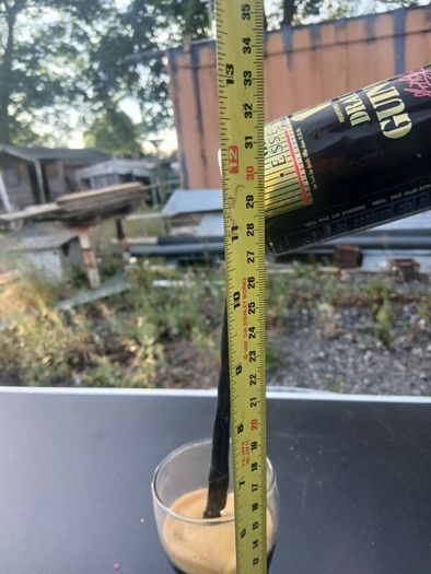 guiness can pouring illusion