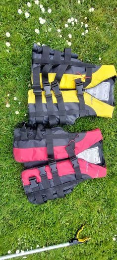 life vest + 2 paddles