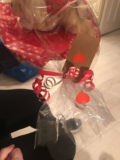 valentines beanie puppy with hearts