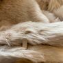 Gharani Strok Faux Fur Jacket - Size 14 - Beige/Nude - New - Soft Teddy Coat Image 8