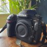 Nikon D850 Nikon 800 Image 2