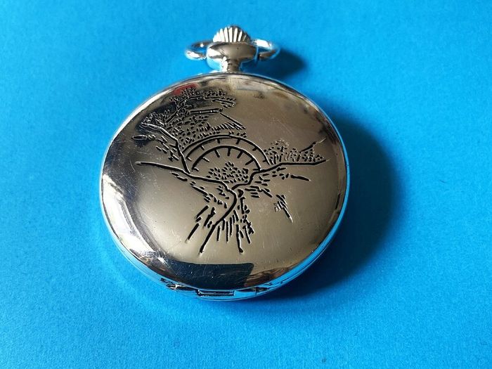 Large Dial, Pocket Watch and Chain