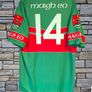 2001 Mayo Gaa Jersey Size Large No.14 Image 4