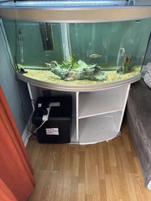 250L Aquarium