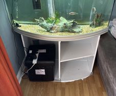 250L Aquarium