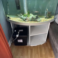 250L Aquarium