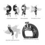 2 Piece Neewer S Type Bracket Holder with Bowens Mount Image 2
