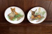 A pair of Decorative China 8 inch Wildlife picture plates fox and deer
