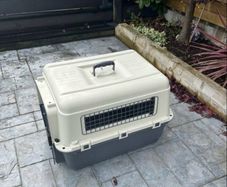 medium sized dog crate