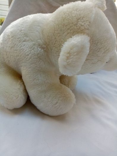 White Bear in a box