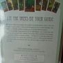 Spirit of Nature Oracle cards, Ogham , Celtic tree cards,Oracle cards Image 4
