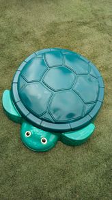 Turtle Sandpit